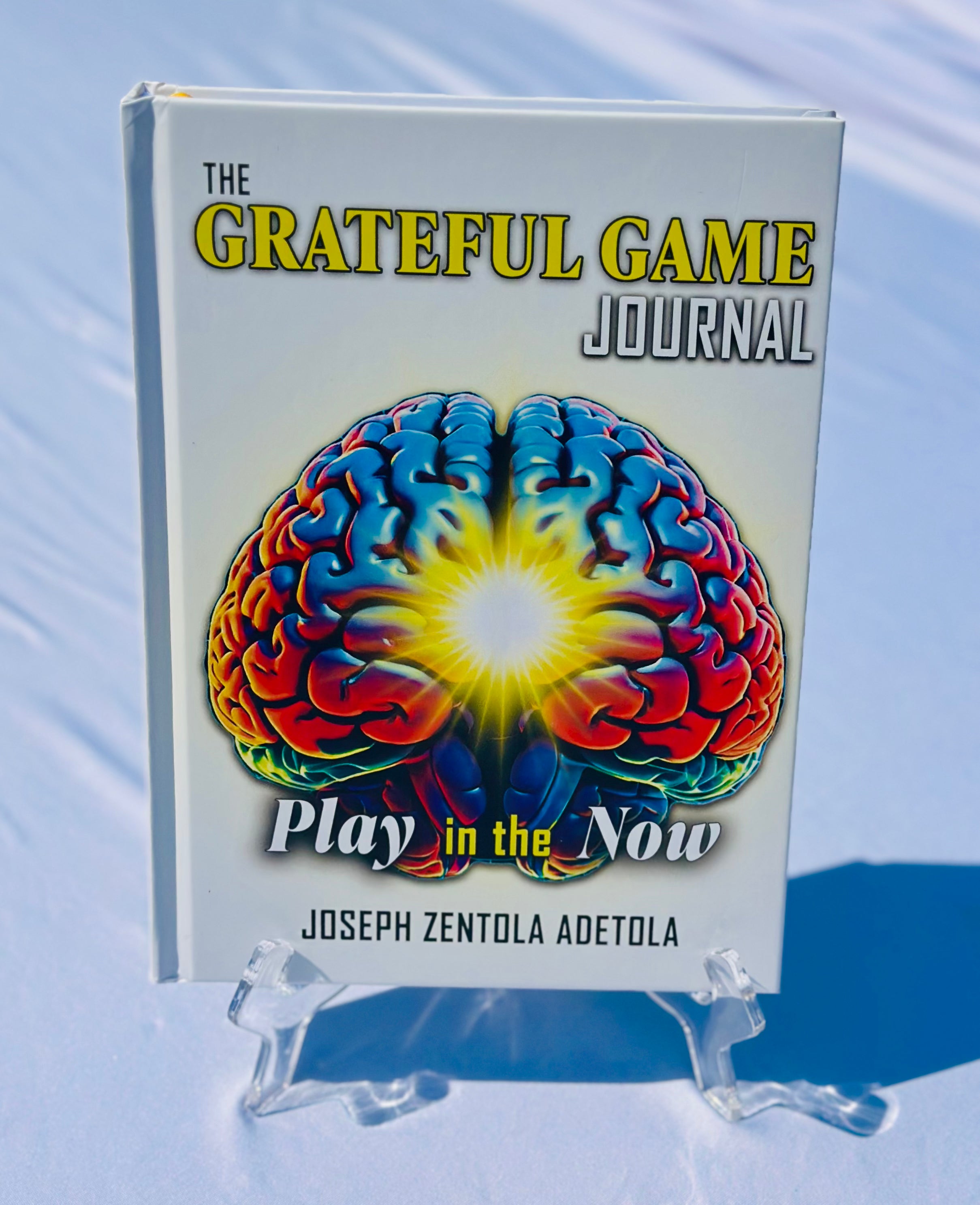 THE GRATEFUL GAME JOURNAL